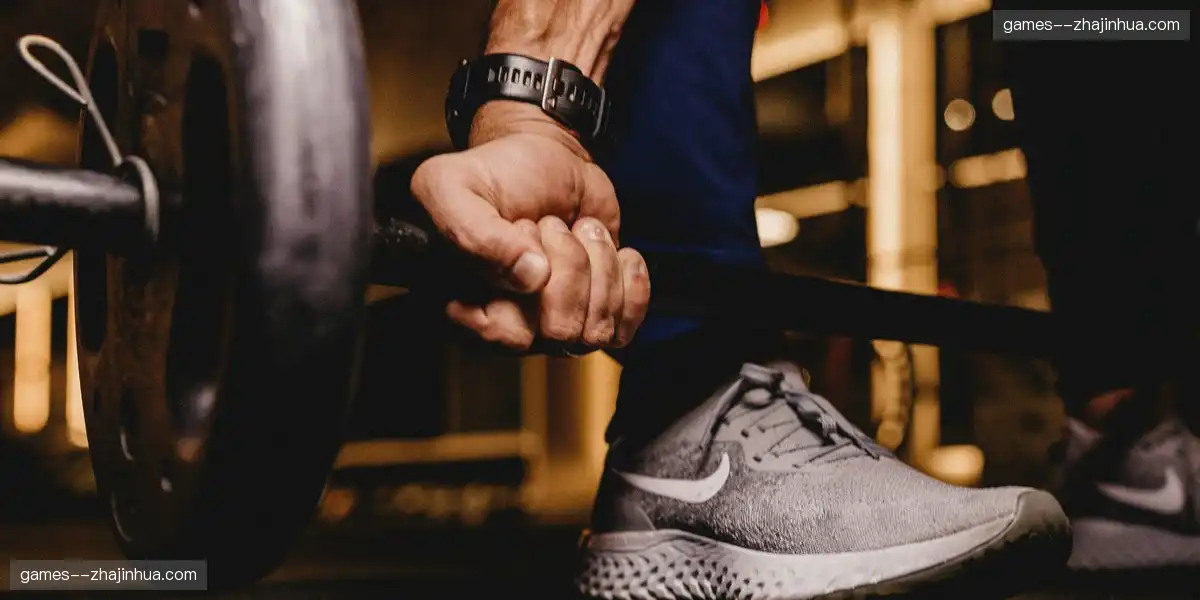 高效信号分发 系统化赛事管理